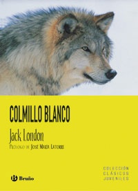 Colmillo Blanco