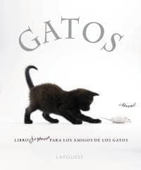 Gatos